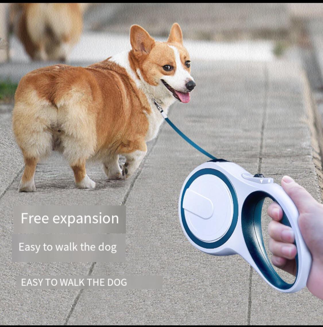 Retractable Dog Leash