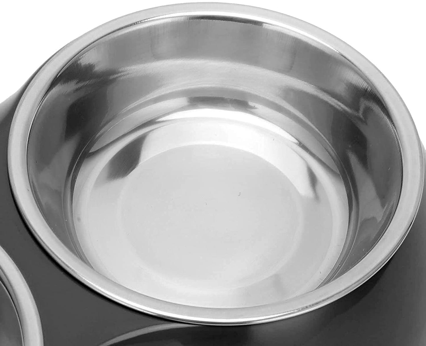 Double Bowl Feeding Dish for Dog & Cat